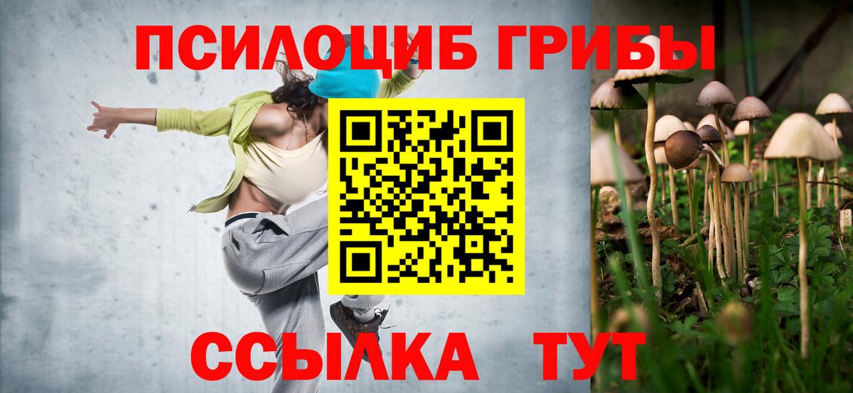 купить   Вход с VPN  Сунжа  Галлюциногенные грибы Magic Shrooms  Галлюциногенные грибы мухоморы 